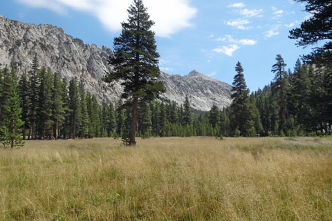 Lower Vidette Meadow, Kings Canyon National Park, California
