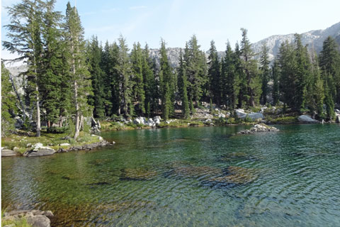 Cinko Lake, Mono County, California