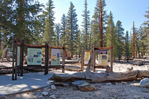 Cottonwood  Lakes trailhead, Horseshoe Meadow, California