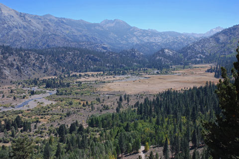 Leavitt Meadow, Hoover Wilderness, California