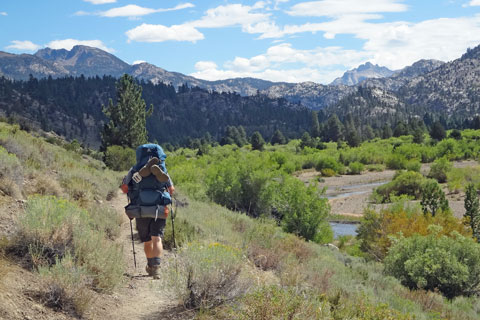 trail through Leavitt Meadow, Hoover Wilderness, California