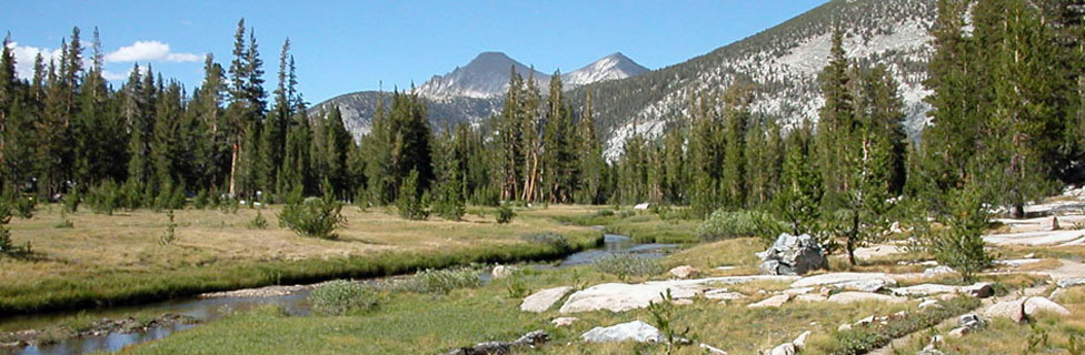 photo of Rosemarie Meadow, John Muir Wilderness, California