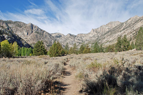 trail to Barney Lake, Hoover Wilderness, California