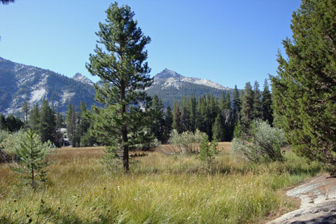 Blayney Meadows, Kings Canyon National Park, California