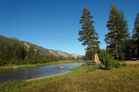 McClure Meadow, Kings Canyon National Park, California