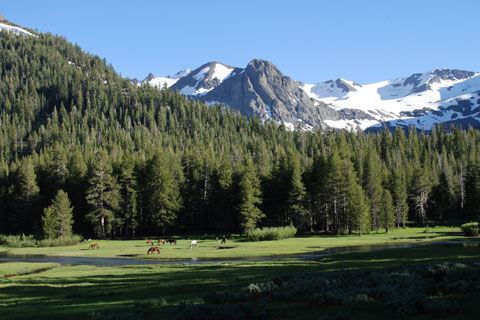Soda Canyon, Emigrant Wilderness, California