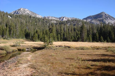 Upper Graveyard Meadow, John Muir  Wilderness, California