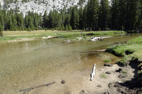 Meadow crossing of Evolution Creek, Kings Canyon National Park, California