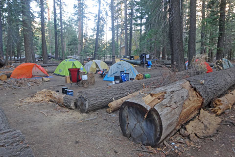Little Yosemite Valley Campground, Yosemite National park, California