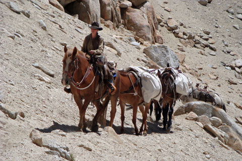 Mono Pass pack train, California
