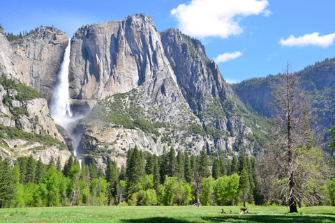 Yoemite Falls, Yosemite National Park, California