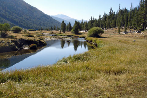 Lyell Canyon, Yosemite National park, California