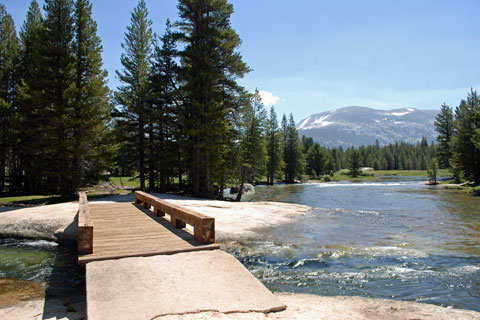 Lyell Fork of the Tuolumne River, Yosemite National Park, California