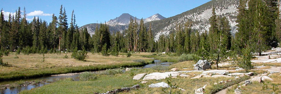 Rosemarie Meadow, John Muir Wilderness, California