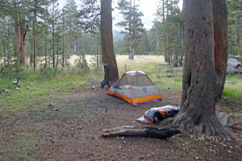 Lower Vidette Meadow campsite, Kings Canyon National Park, California